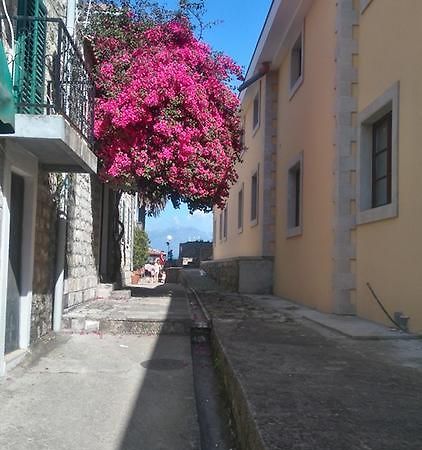 Nataliia Twister Apartment Budva Exterior photo